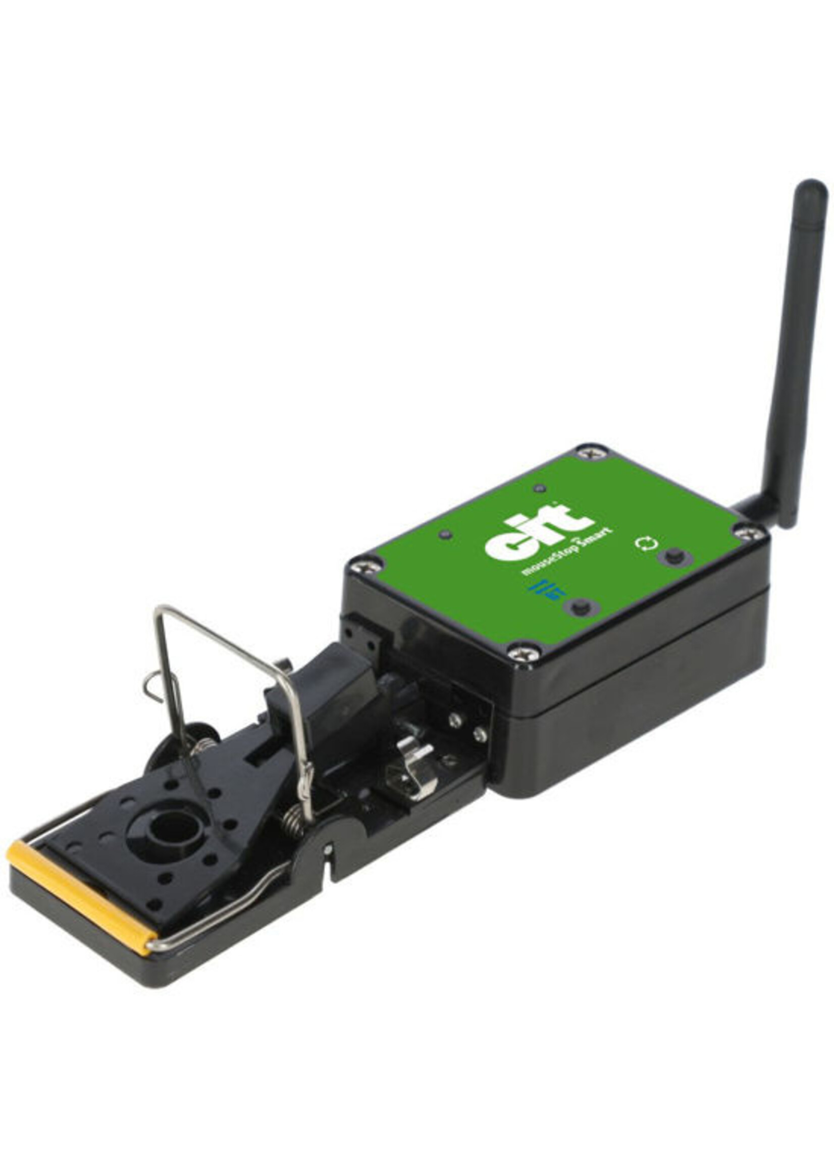 CIT Rattenval -smart- Cit RatStop