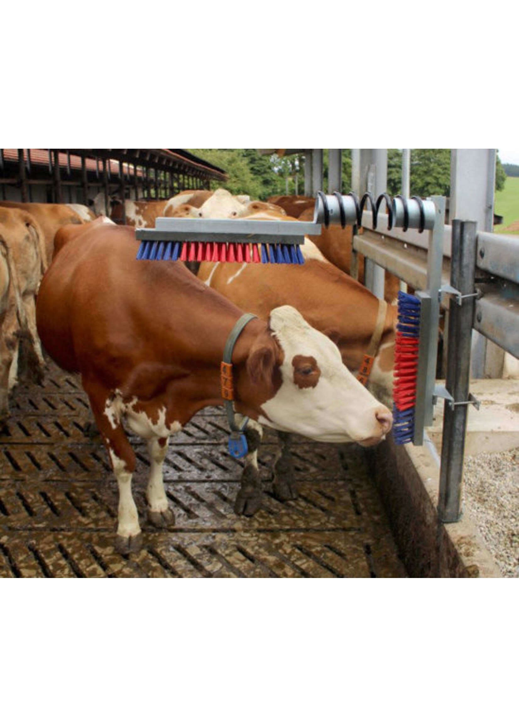 Kerbl Veeborstelset -Kerbl-