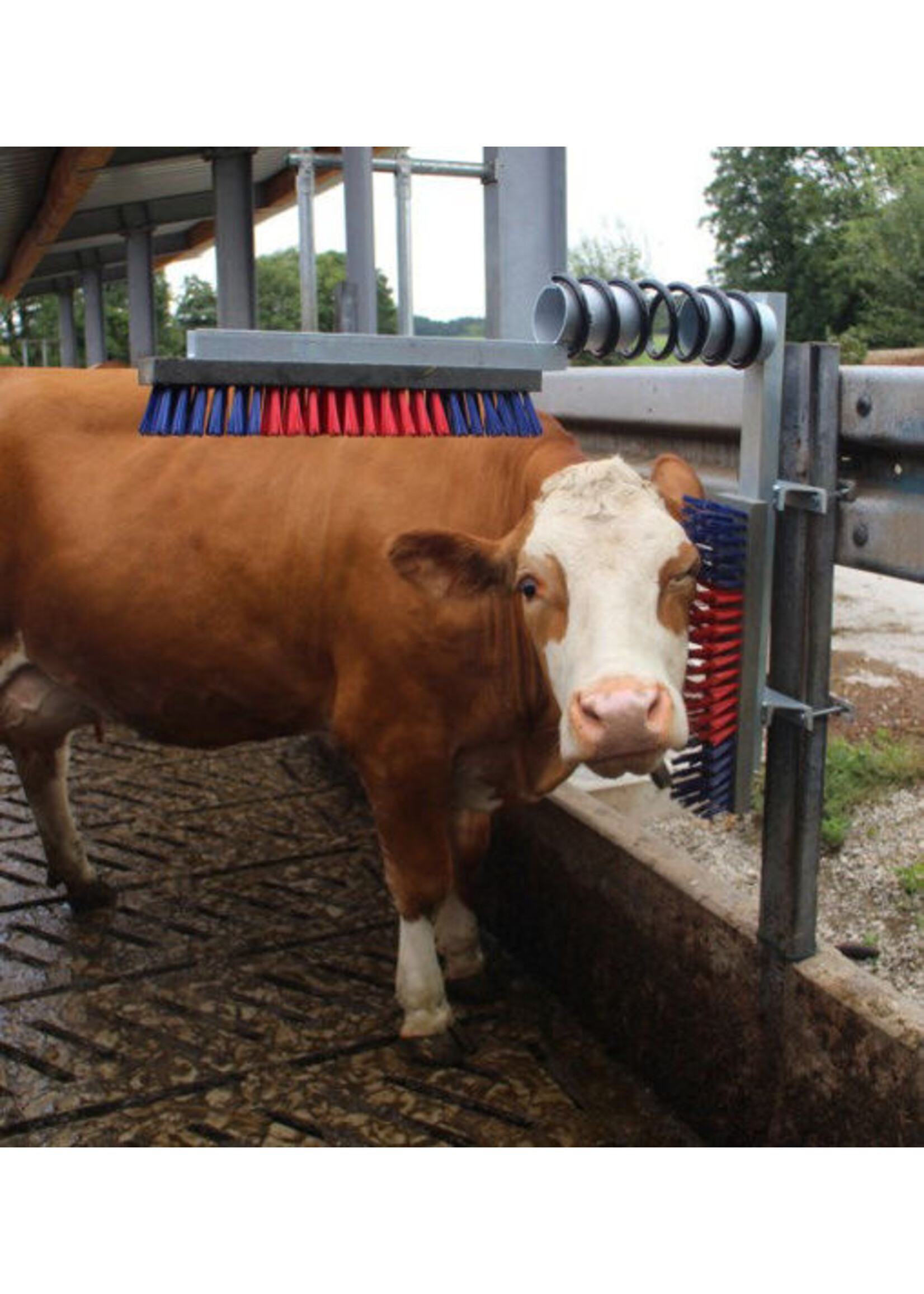 Kerbl Veeborstelset -Kerbl-