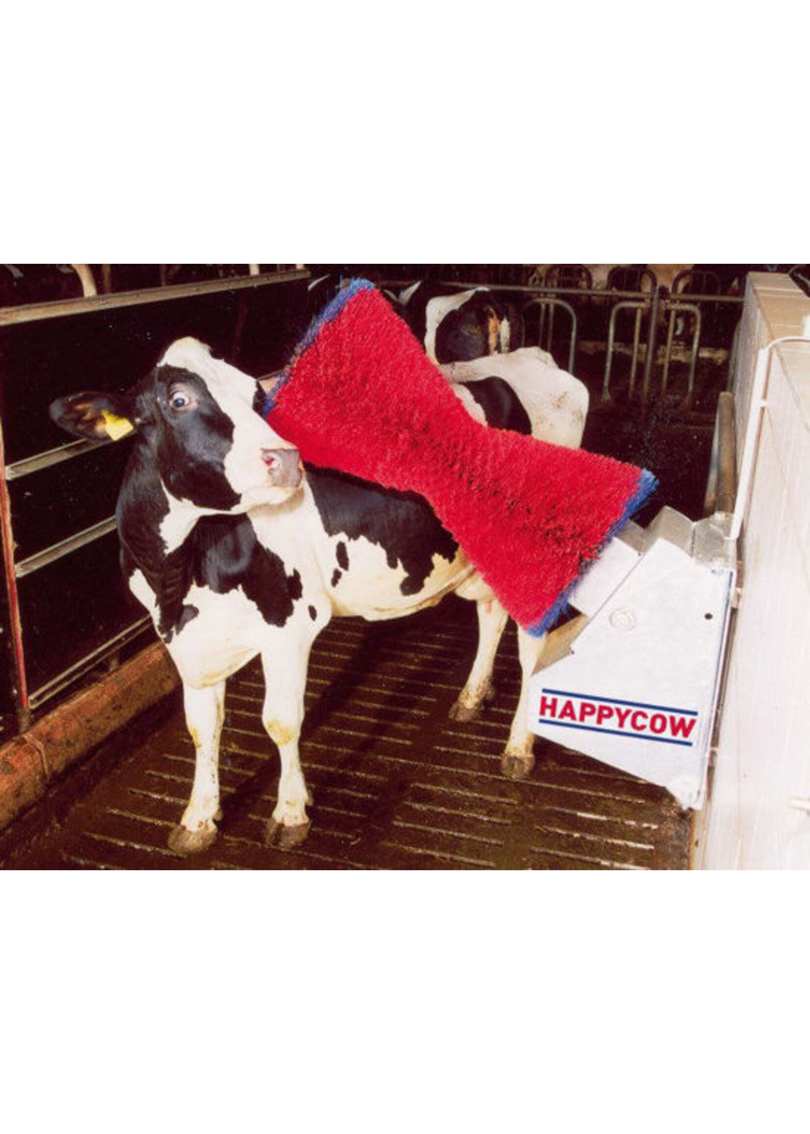 Kerbl HappyCow koeborstel horizontaal