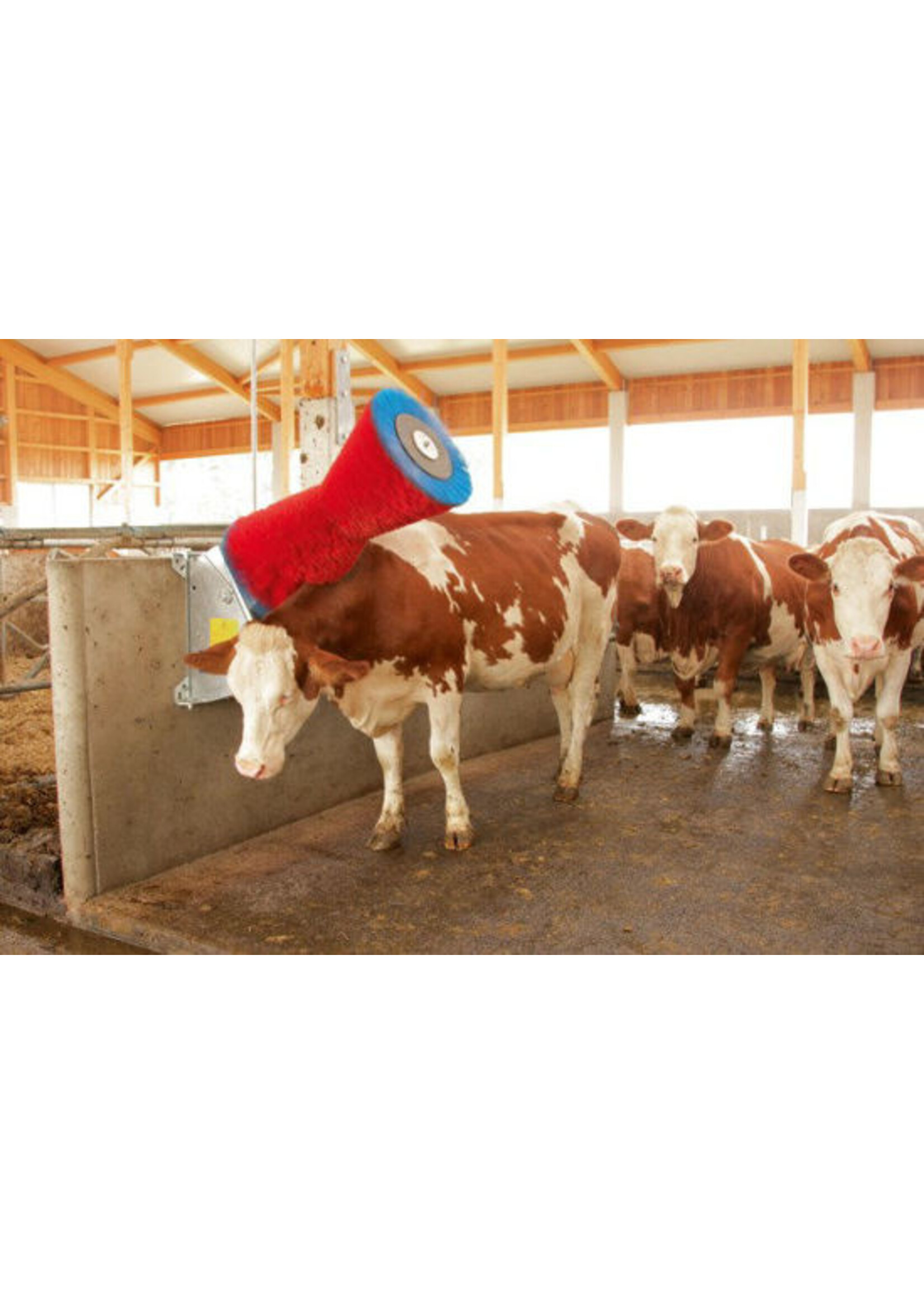 Kerbl HappyCow koeborstel horizontaal