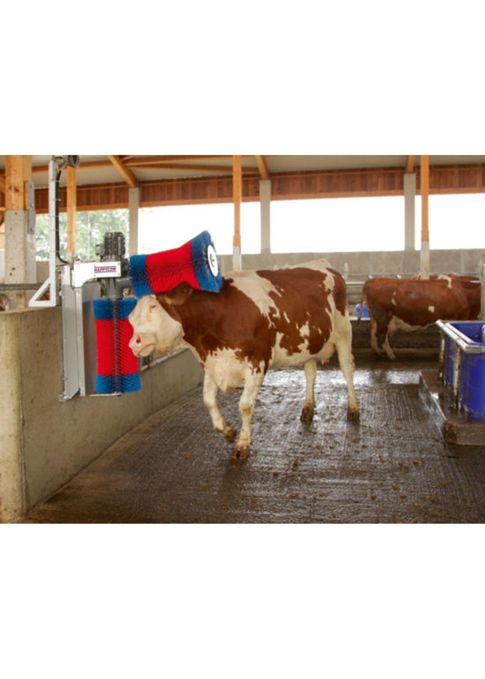 Kerbl HappyCow koeborstel DUO