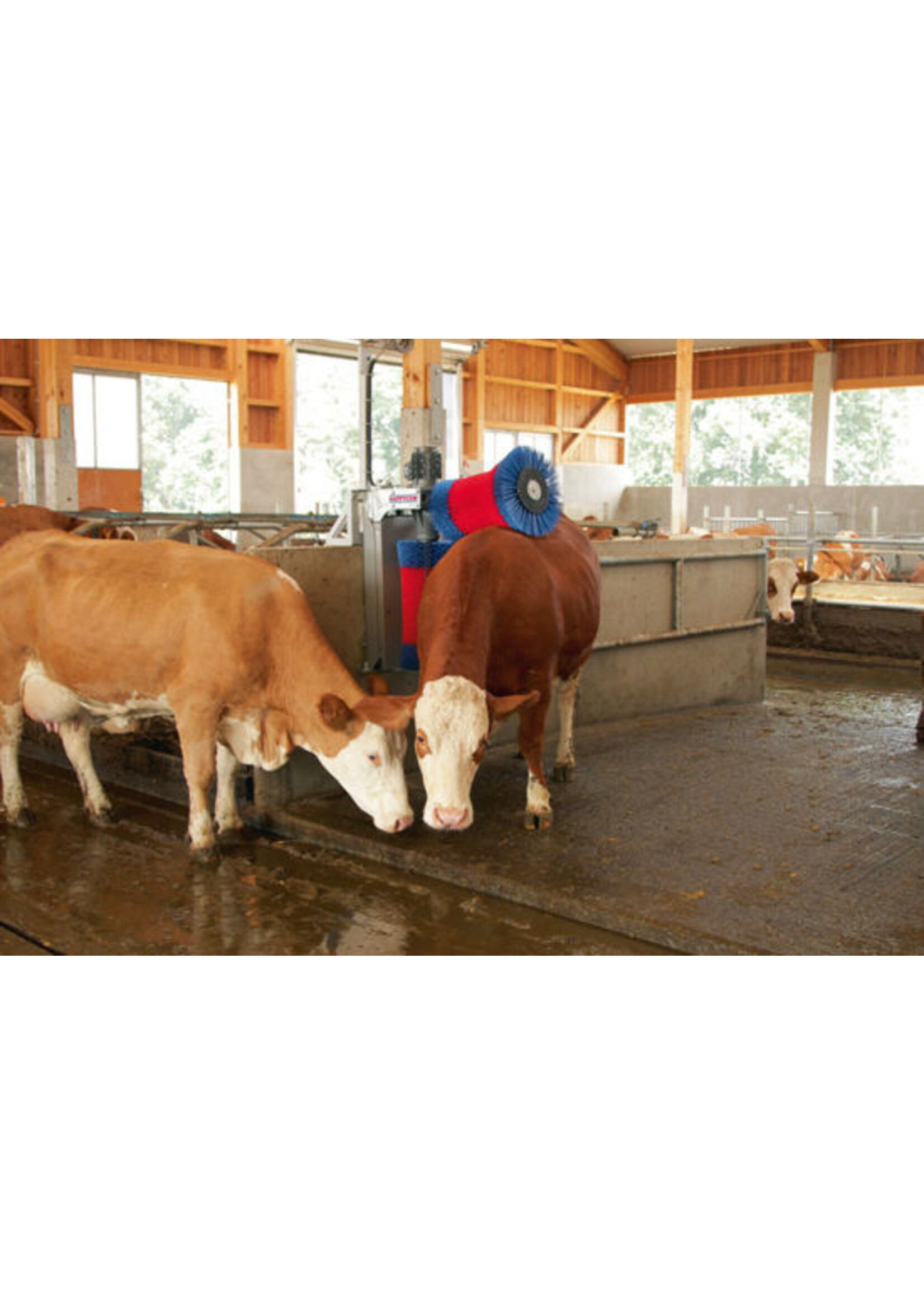 Kerbl HappyCow koeborstel DUO