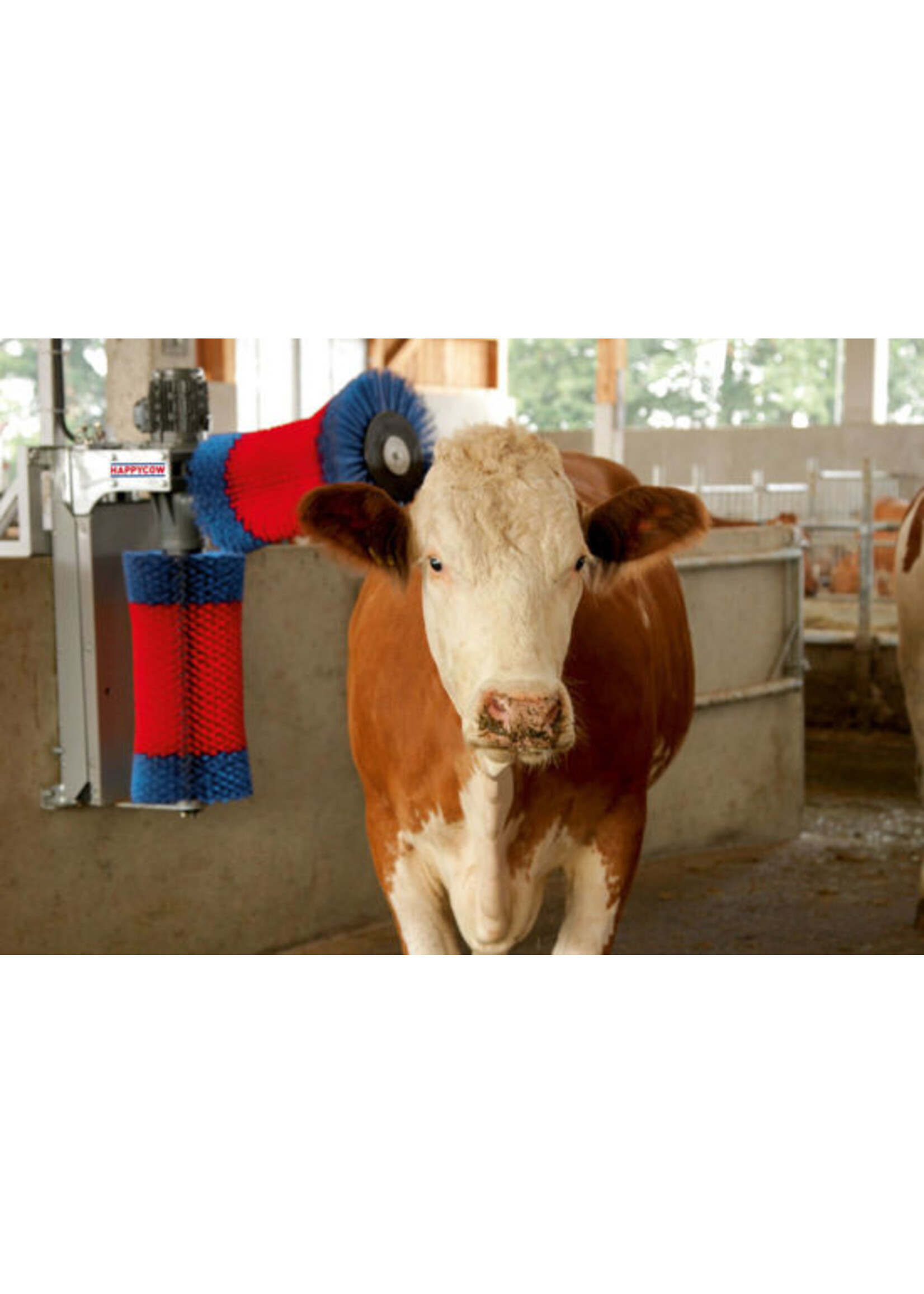 Kerbl HappyCow koeborstel DUO