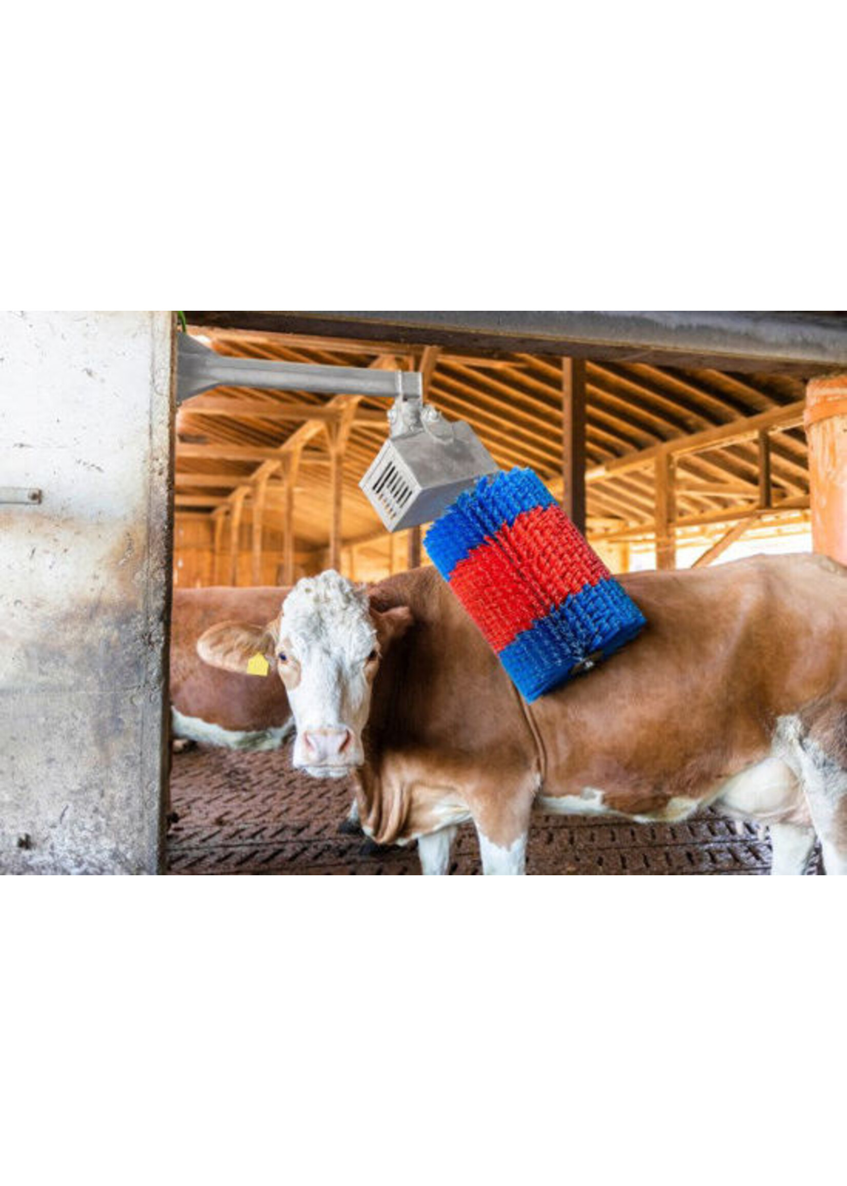 Kerbl HappyCow koeborstel MidiSwing