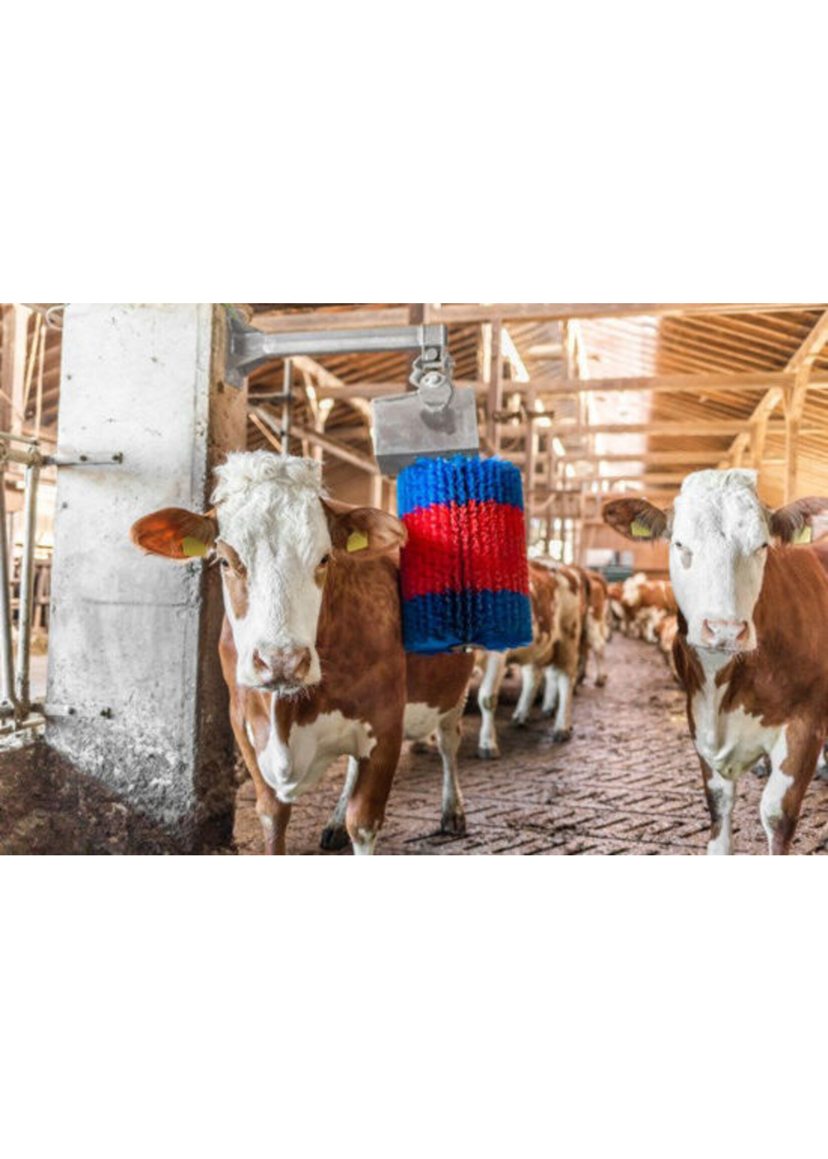 Kerbl HappyCow koeborstel MidiSwing