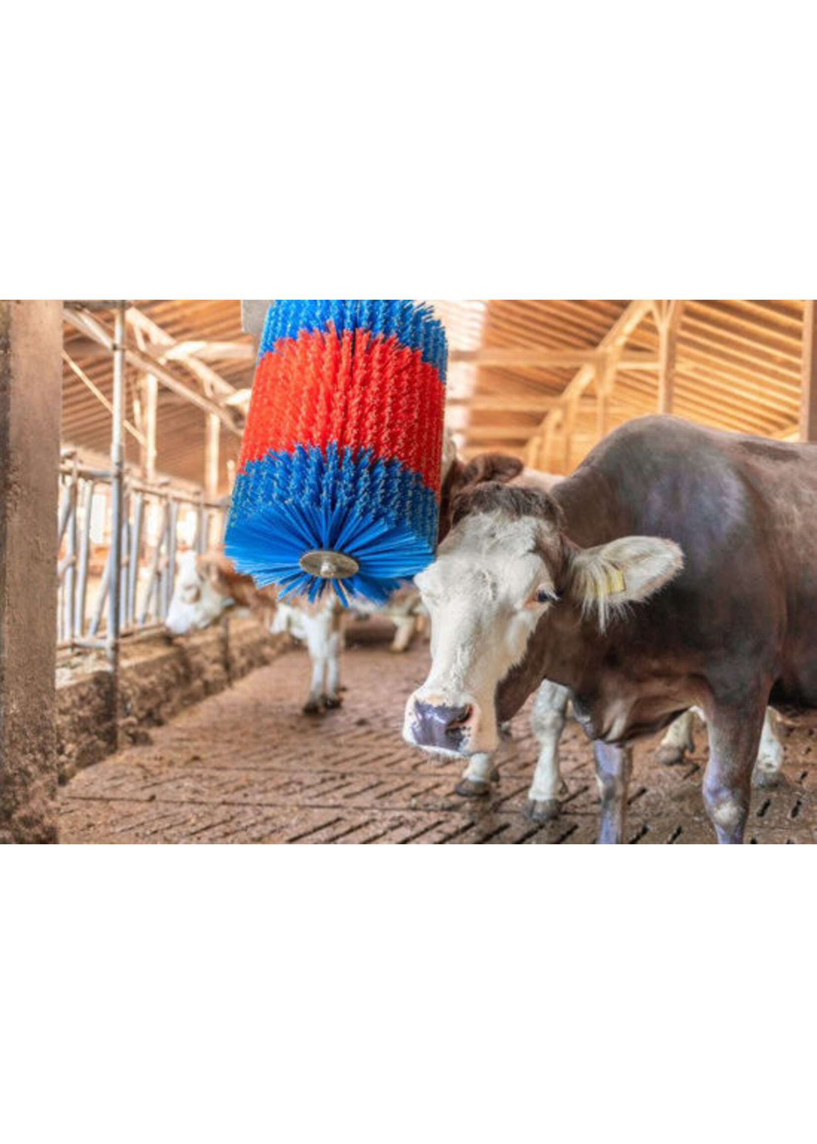 Kerbl HappyCow koeborstel MidiSwing