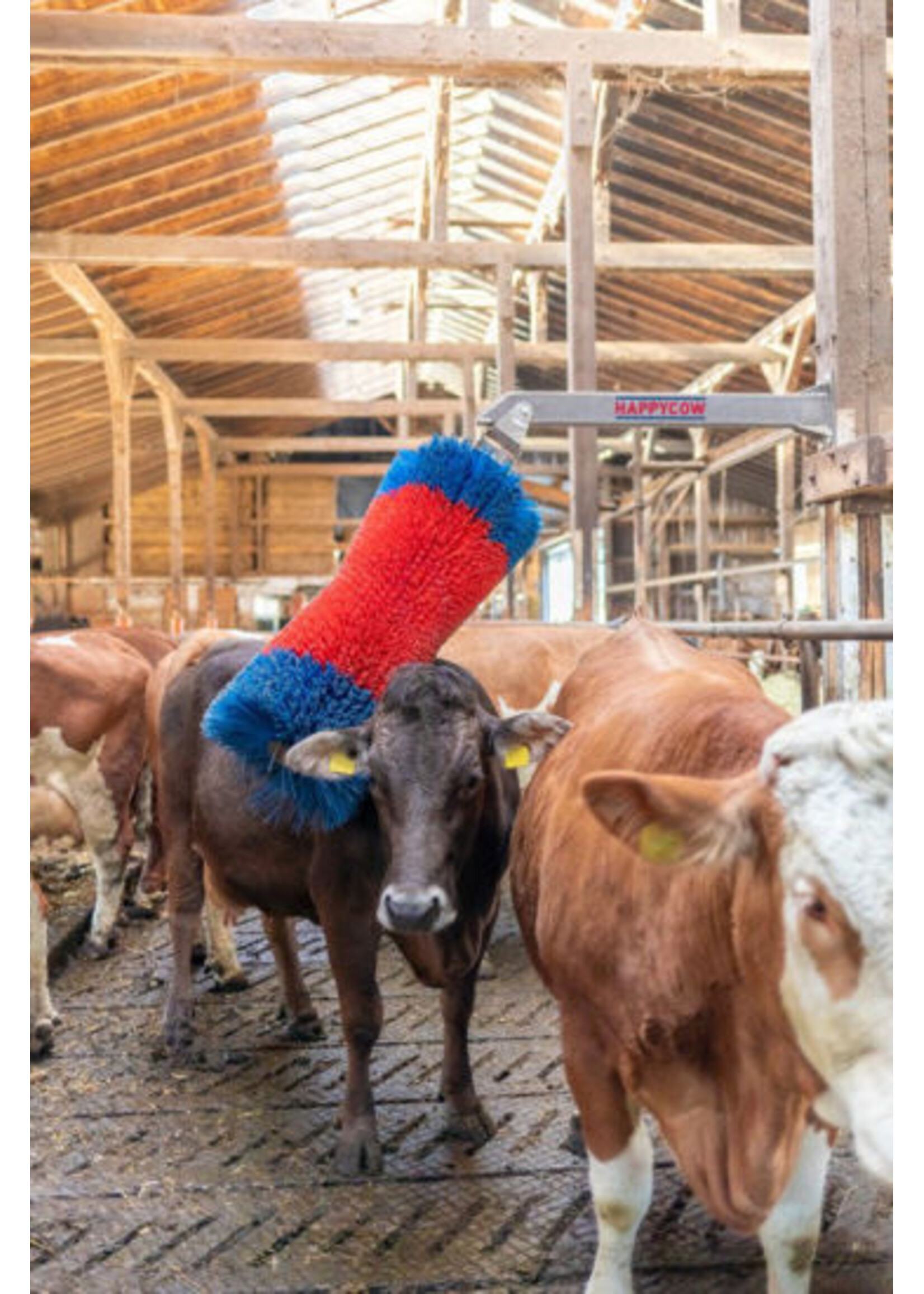 Kerbl HappyCow veeborstel FreeMaxi