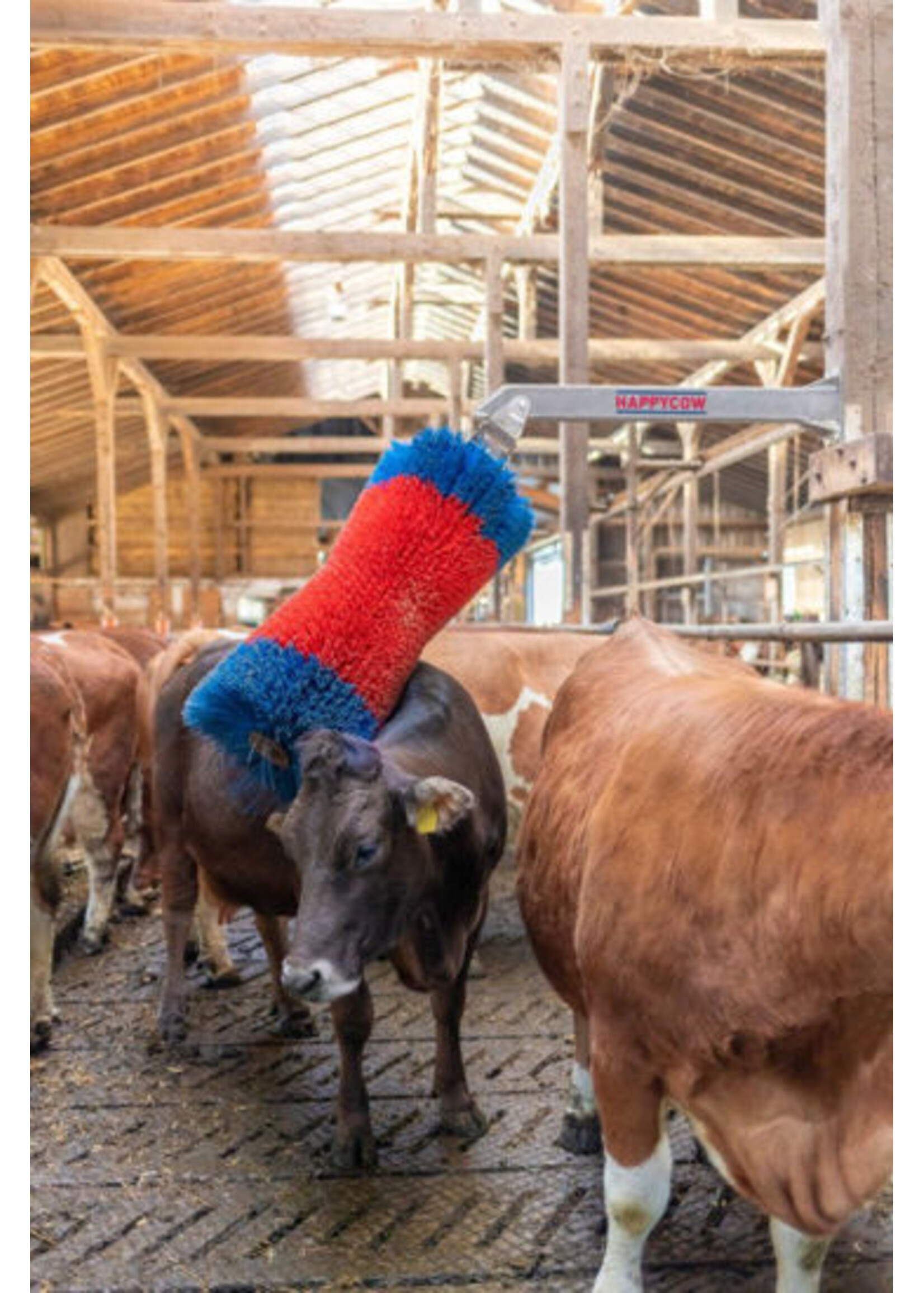 Kerbl HappyCow veeborstel FreeMaxi