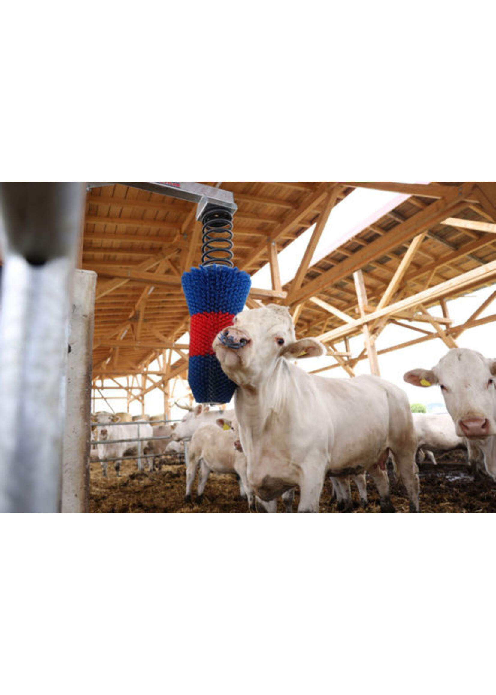 Kerbl HappyCow veeborstel FlexiSwing