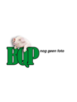 Heiniger Draadbus v. stelschroef Heiniger Schaap