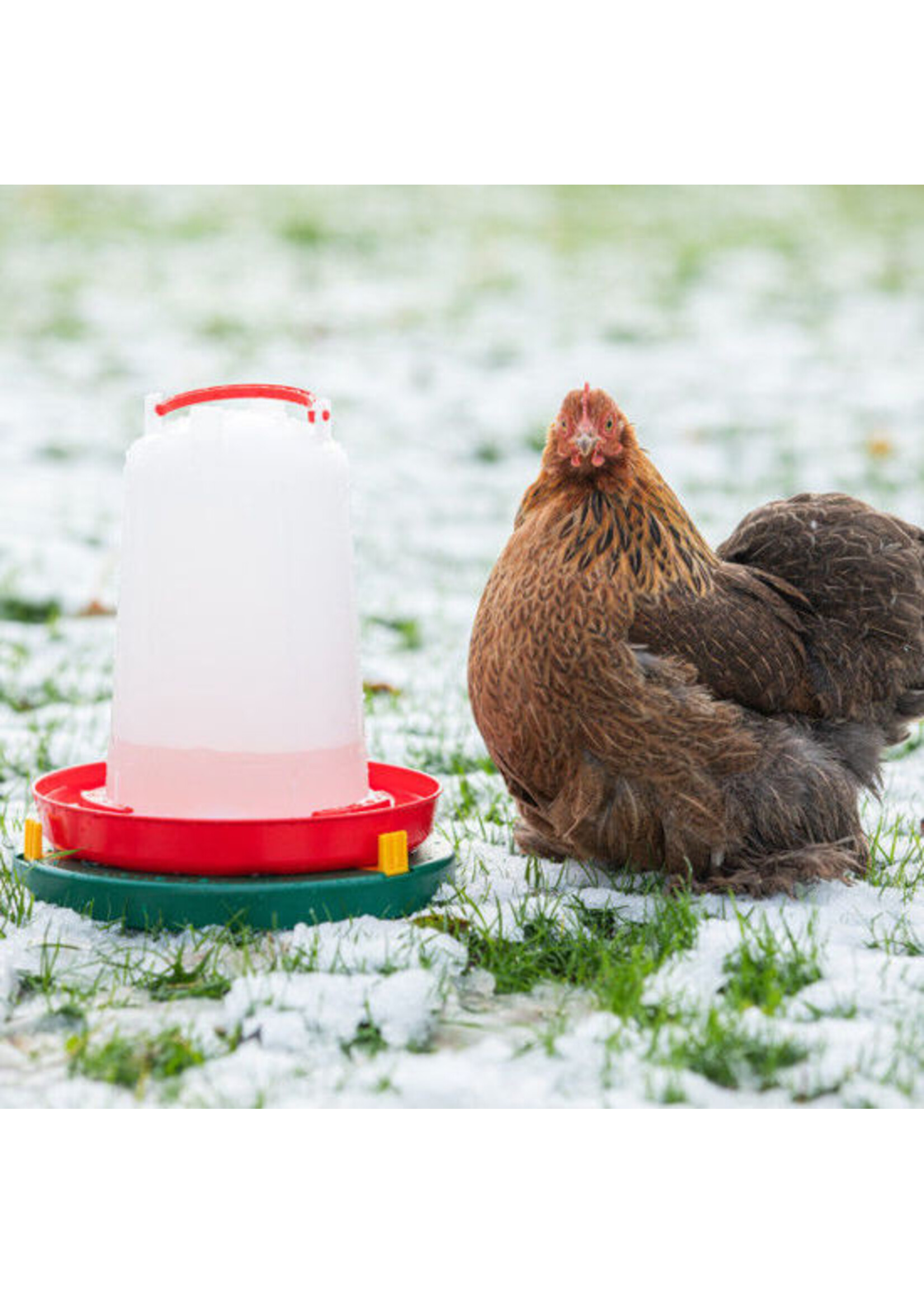 Kerbl Drinkbakverwarmer 24VDC/12W