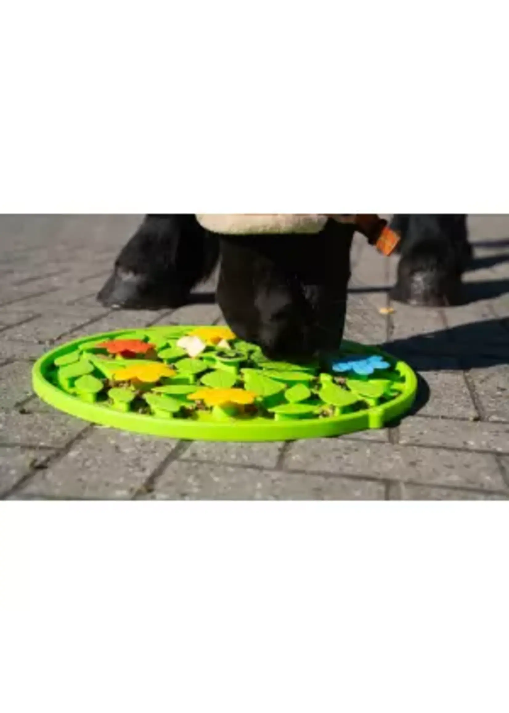 Excellent Horse Excellent Horse Snuffle Mat Flower Power