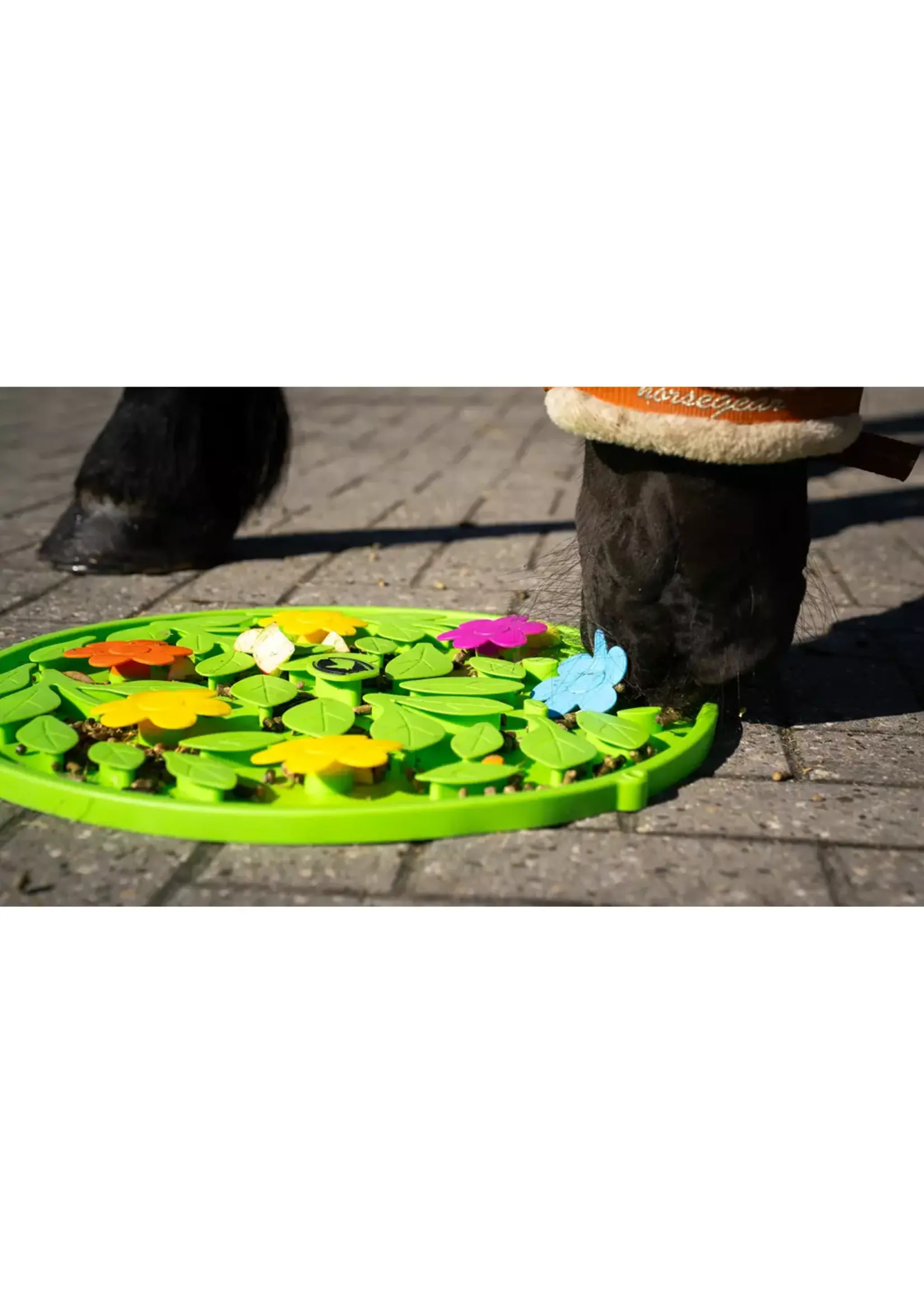 Excellent Horse Excellent Horse Snuffle Mat Flower Power
