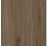 Coretec PVC CORETEC Essentials 1500+ Cleveland Oak LVRE 1486