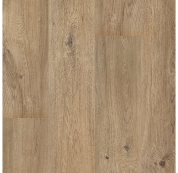 Floorify Planks & Tiles Floorify  F102  Teddy Bear