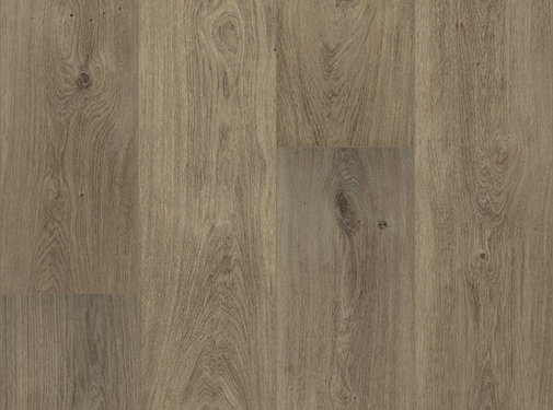 Floorify Planks & Tiles Floorify  F021  Cohiba