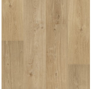 Floorify Planks & Tiles Floorify  F018  Cider