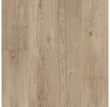 Floorify Planks & Tiles Floorify  F017  Champagne