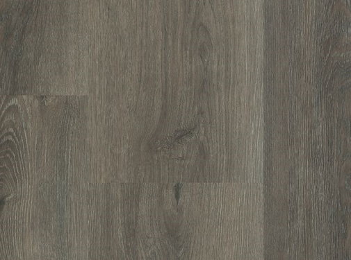 Hebeta  Hebeta Charente XL - 5462