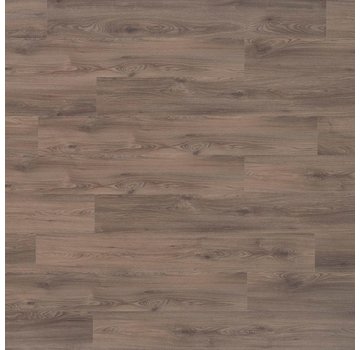 Rigid Monte Tofana 420423