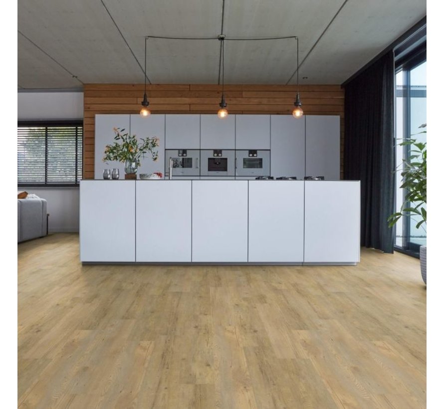 Floorlife pvc Bondi Beach dryback naturel