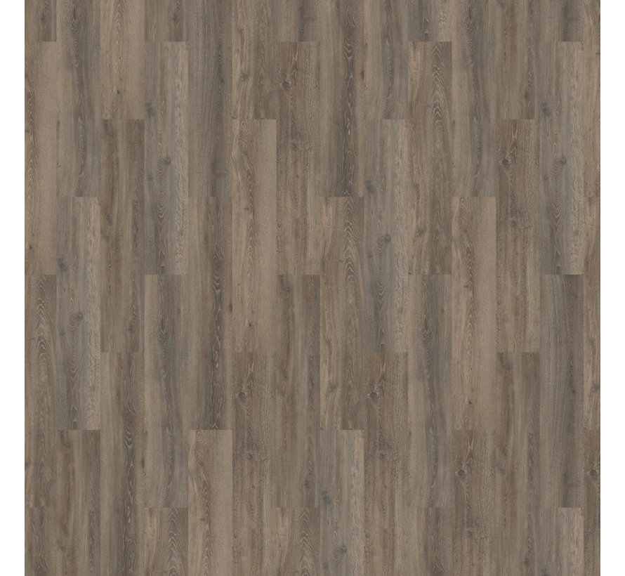 Mflor Solcora Silence Oak Lombardia 55917