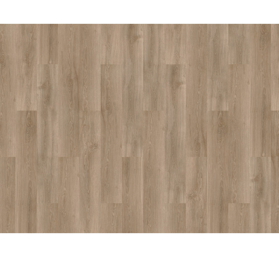 Mflor Solcora Silence Oak Douro 56025