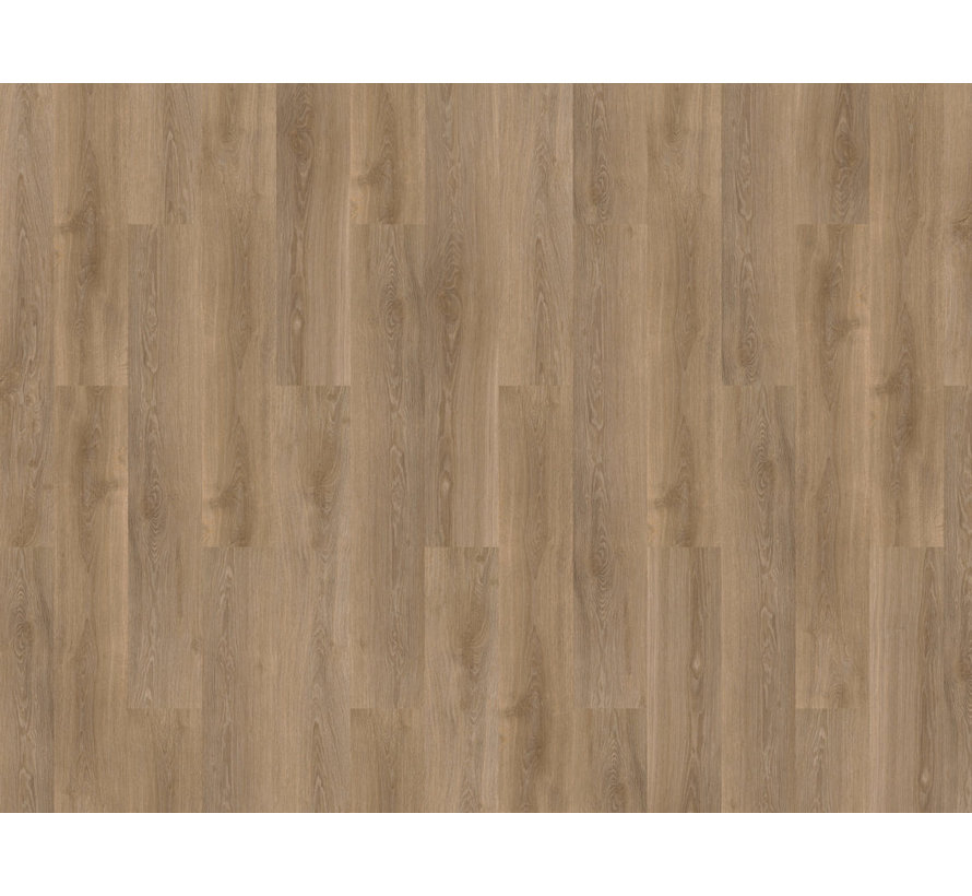 Mflor Solcora Silence Oak Volga 56024