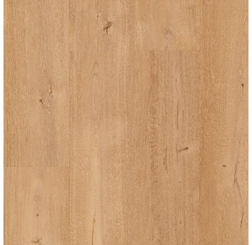 Floorify Planks & Tiles Floorify  F095  Frangipane