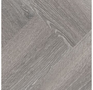 Hebeta  Hebeta Progress Visgraat XL  - 77819