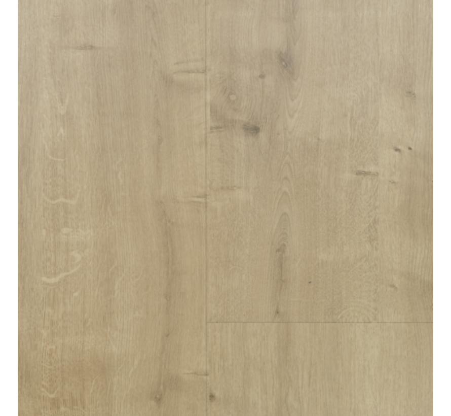 OTIUM Spice beige grey