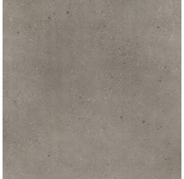 Floorlife vloeren Vtwonen Composite Click SRC Warm Grey - 6211215119