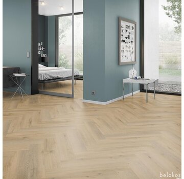 Belakos  Belakos Attico 80 Visgraat XL