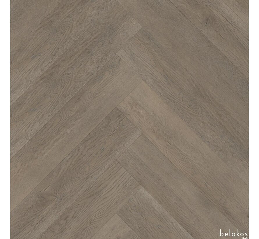 Belakos Palazzo 70 Visgraat XL