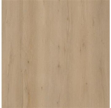 Floorlife vloeren Floorlife pvc Leyton dryback Beige