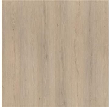 Floorlife vloeren Floorlife pvc Barnet Dryback Beige