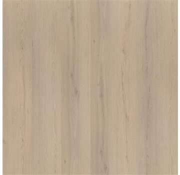 Floorlife vloeren Floorlife pvc Barnet Dryback Beige