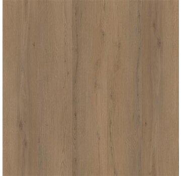 Floorlife vloeren Floorlife pvc Barnet Dryback Dark Oak