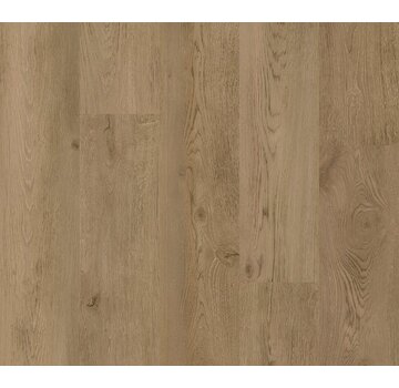 Coretec PVC COREtec Essentials 1200 Baltimore Oak LVP 1254