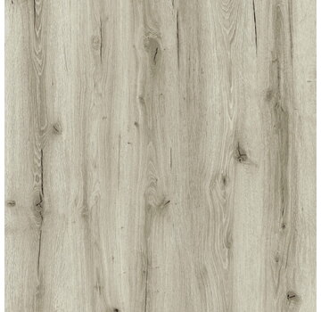 Republic Floor Crocodile Boss