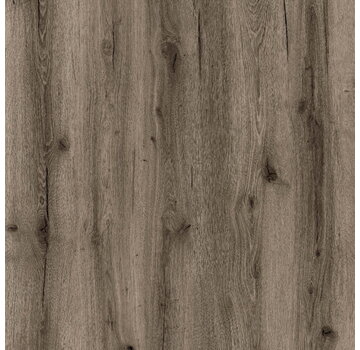 Republic Floor Crocodile Crazeee