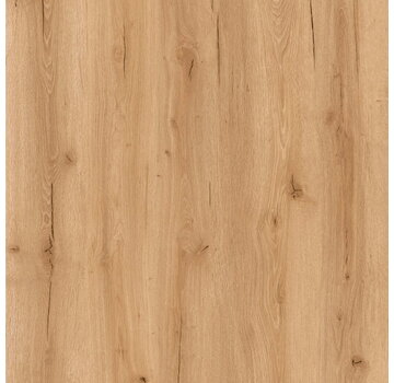 Republic Floor Crocodile Less