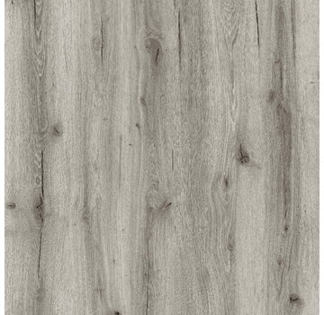 Republic Floor Crocodile Thug