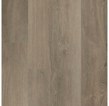 Hebeta  Hebeta Charente XL - 5461