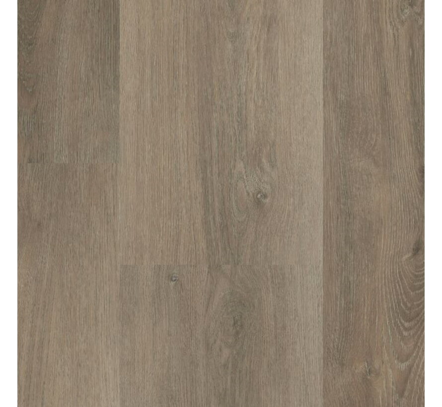 Hebeta Charente XL - 5461