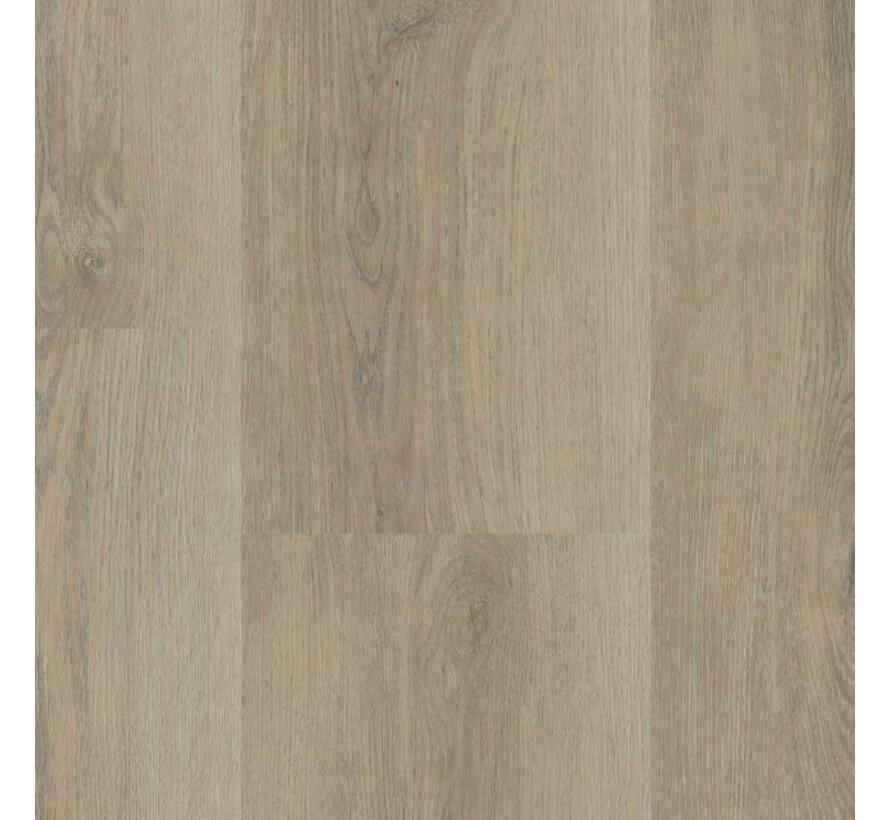 Hebeta Charente XL - 5445