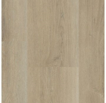 Hebeta  Hebeta Charente XL - 5447