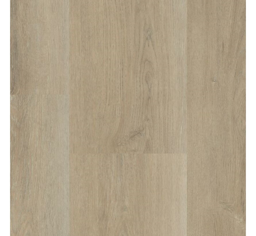 Hebeta Charente XL - 5447