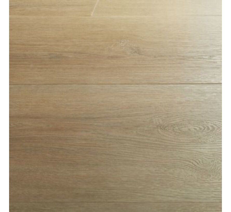 Hebeta Charente XL - 5447